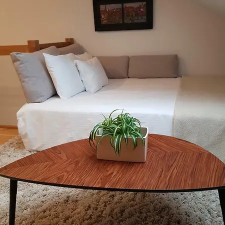 Brand New Modern Townhouse *